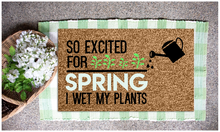 Spring Doormats